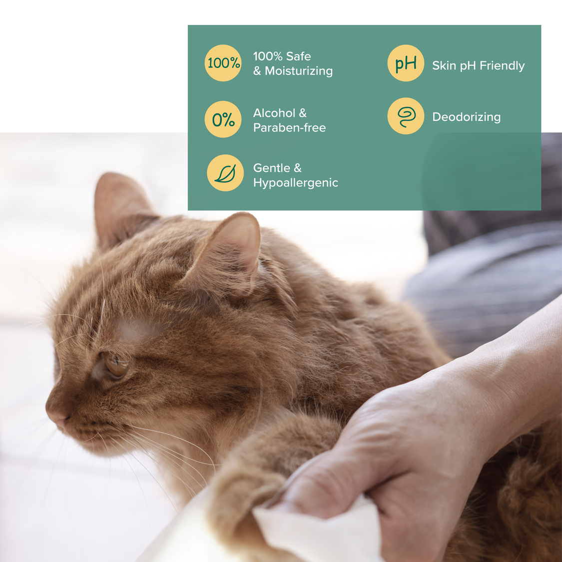 Baby wipes safe for cats sale